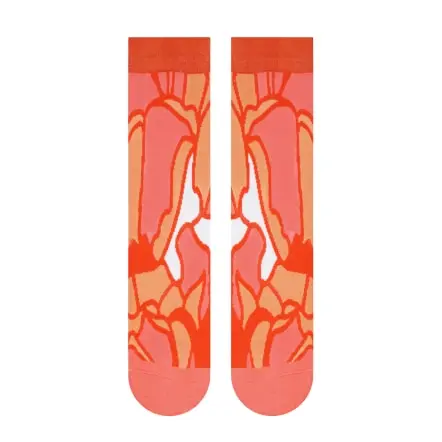 Chaussettes Cristal - Collection DÉSERT - WWF® (2)