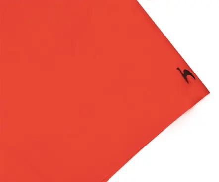 SLB Short de Bain Benfica (2)